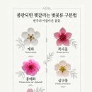 까치울 티스토리