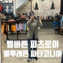 파타고니아 | 호주 멜버른 : 피츠로이 구경하기! 룰루레몬 아울렛 & 파타고니아 아울렛 후기