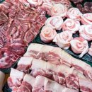 압구정-279 이미지