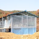 사방염소농장 이미지