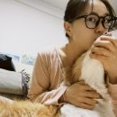 카페더유월 이미지