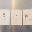 나비의꿈-호접지몽 이미지