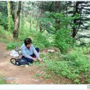 히든밸리펜션 이미지