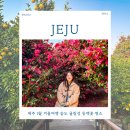 숨도 귤림성 | 제주 1월 겨울여행 숨도 귤림성 동백꽃 명소 여행지 추천