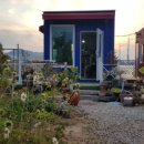 아포덕일한마음 이미지