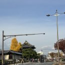 장애인심부름센터 | 25년 12월 일상