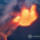 화산시스템 업다운뉴스