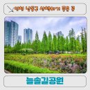 늘솔길 | 인천 논현동 장미공원 추천｜늘솔길공원 산책 후기, 소래포구 근처 힐링 코스