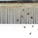 계양동물병원 이미지