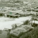 사창4리 이미지