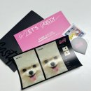 백록동물병원 | 강아지 카드 꾸미기 고스티 카드스티커주문제작 후기