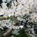 경대교 주변 이미지