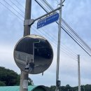 낙동강변 | 시골살이 일상 고령 대가야시장 소구레국밥 후기, 낙동강변 뷰