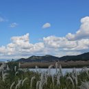 남도삼백리길(3코스) | 순천만습지 갈대데크길 걸었으니 가을풍경보며 남도삼백리길-남파랑길 -어싱길-람사르길 3코스- 함께...