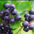 내유농장 이미지