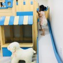 경주펜션키즈풀빌라앤셜리 이미지