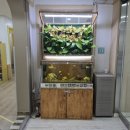 동탄이화유치원 이미지