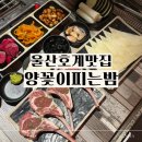 꽃 피는 갈비 | 울산 북구 양꼬치 호계동 맛집 ‘양꽃이피는밤’ 에서의 양갈비 먹방 후기