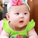 새만금농장 이미지