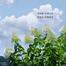 부자님 이미지