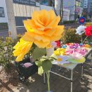 운유초등학교 이미지