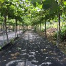 한울상사 이미지