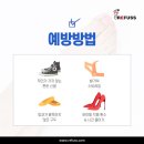 레푸스 범어점 이미지