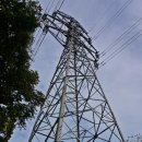 봉학골산림욕장 이미지