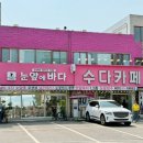 [제부도] 고양이가 있는 제부도 오션뷰 갤러리 카페 추천 ‘수다카페’