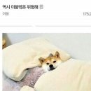 눈빛극장 이미지