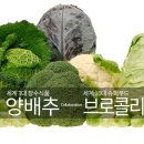 서부경건강이야기
