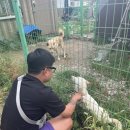 명산양푼왕갈비 이미지