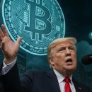 비트코인 백서 17주년, 사이퍼펑크 반란에서 월가의 주류로 자리잡다 이미지