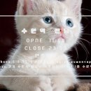수원역전담