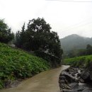 기곡농장 이미지