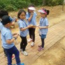 솔무공원 이미지