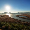 순천만 습지 이미지