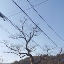 곡남1리마을회관
