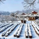 서정적인 이미지