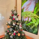 평촌길 | 경기 광주 곤지암 한정식 자연밥상 해누리 곤지암 방문 솔직 후기