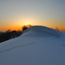 울릉도 심설산행 이미지