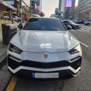 가좌동 청송빌라 앞 | 강남 셀프카 전문! 람보르기니 우루스 서울 강남구 역삼동 → 인천 서구 가좌동 타이어 교체 탁송 완료