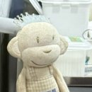 목포미즈아이병원 이미지