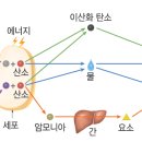 고양중학교 이미지