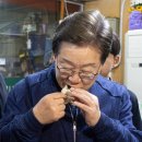 이재명, 대법 &#39;유죄 취지&#39; 판결에도…민심 행보 꿋꿋 이미지