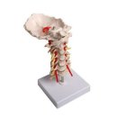 (주)진산메디칼 이미지