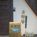 대전해물회집 | 대전 관저동 맛집 고래밥 점심에는 관저동점심맛집 저녁관저동회집