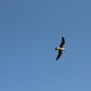 대항마을 이미지