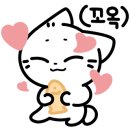폴바셋천안구성DT점 이미지