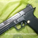 H-Guns 네이버블로그
